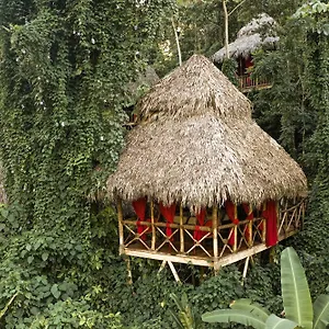 Dominican Tree House Village Resort